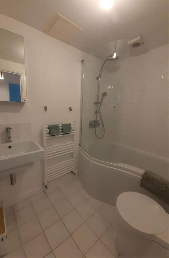 2 Bedroom Victorian Garden Flat ロンドン エクステリア 写真